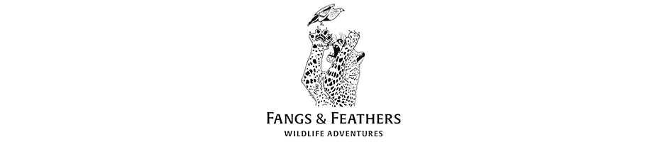 Fangs and Feathers